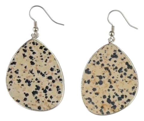 Dalmatian Jasper Slice Earrings, the pair